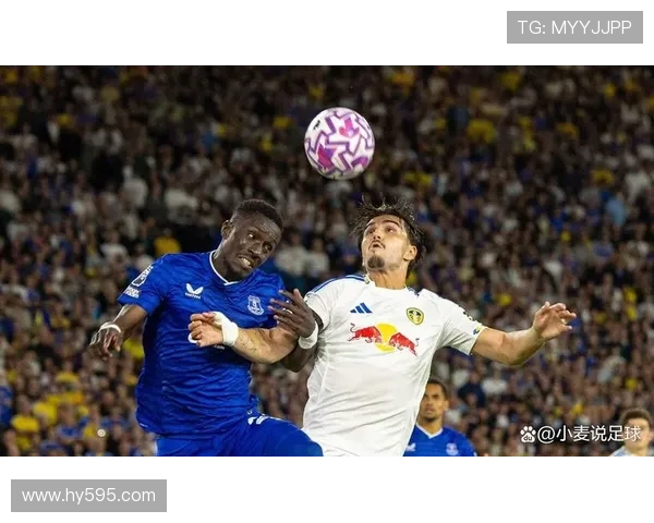 布莱顿战埃弗顿三笘薰维尔贝克